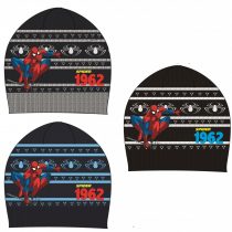 CTL08798 kapa Spiderman
