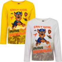 long-sleeve-tops-for-children-disney-licenses-wholesale_0297_hu1052_2_